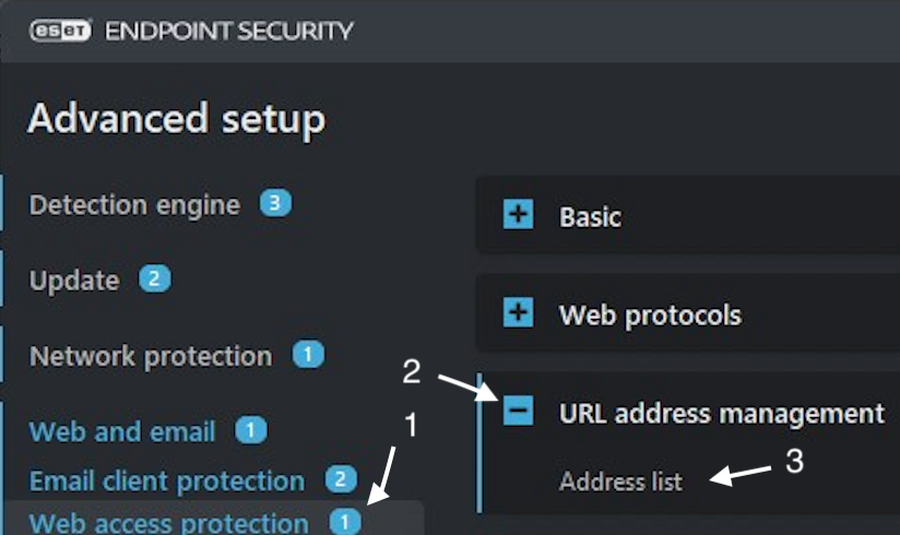 Advanced Set Up>Web Access Protection>URL Address Management>Address Management.png